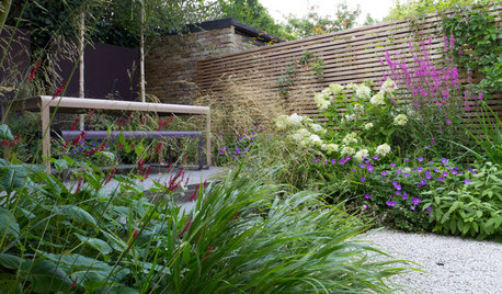 A London Courtyard Garden Becomes a Serene Oasis