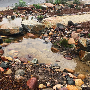 Scripps Ranch Naturalistic Kid-friendly Landscape