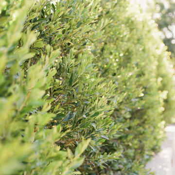 Wine Country Escape