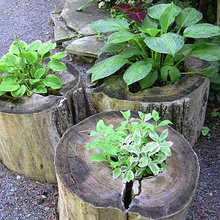 Planters