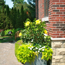 Patio Ideas