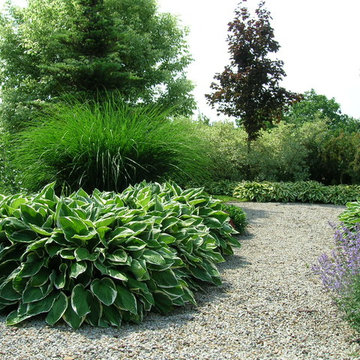 Puszczykowo | Patio