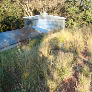 Stanley Studio Green Roof