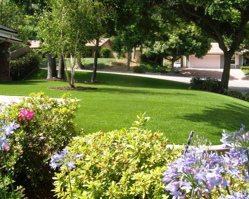 Beautiful Front Yard