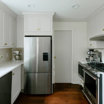 East Grand Rapids Kitchen and Lower Level