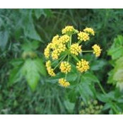 Manon Blouin's photo