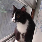 Tamara Nell's photo