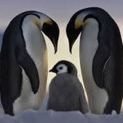 Kelly Roy's photo