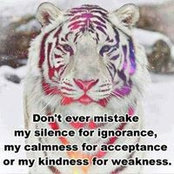 Claudia Reva's photo