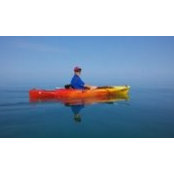 Kim Paras foto
