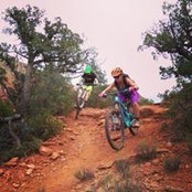 Logan Whitehead's photo