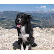 Gloria Wilson's photo