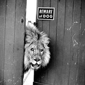Christoph Strecker's photo