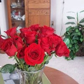 Jan Nass's photo