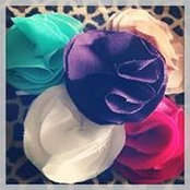 Button Dow Bows's photo