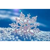 Julie Zwinger's photo
