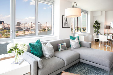 Transitional open concept light wood floor living room photo in New York with white walls