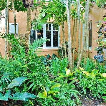Tropical Landscape Design