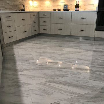 Contempo KItchen Remodel