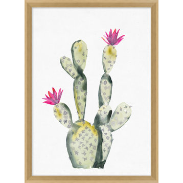 Pink Blooming Cacti 4