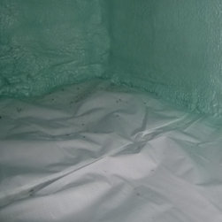 Spray Foam - Products