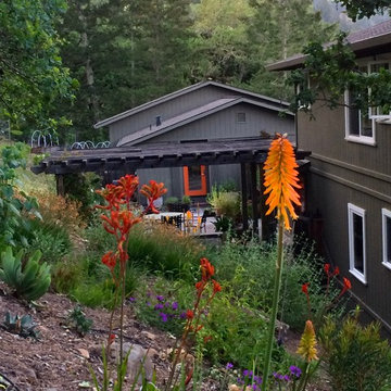 Sonoma County Garden