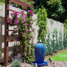 1 Backyard 7/16