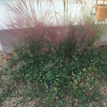 In Town Backyard Remodel, Santa Fe NM