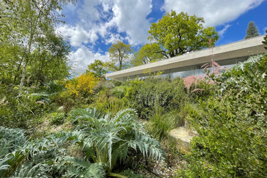 Cette image montre un jardin rustique.