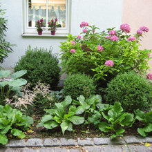 Heimischer Garten