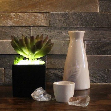 Lumiere - Illuminated Succulents, Echeveria in Black Ceramic