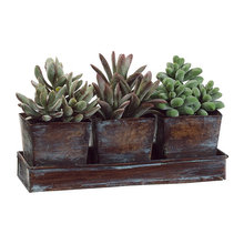 Déco Plante Artificielle Petite