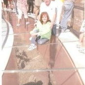 Patricia Wells-Ferguson's photo