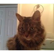 Christine King's photo