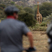 Riley Pearce's photo