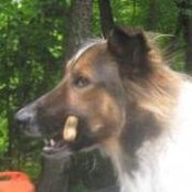 Phyllis Burt's photo