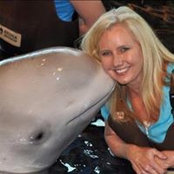 James Pezziさんの写真