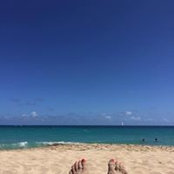 Sandy Montanari's photo