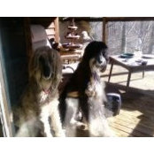 Foto von Debby Coss