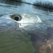 John Snipes's photo