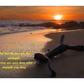 Jessica Grady's photo
