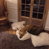 Claudine Descheemaecker's photo