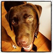 Foto von Briana Black