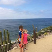 Susan Ryan's photo