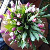 Елена Матвеева's photo