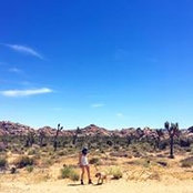 Leah Gilmore's photo