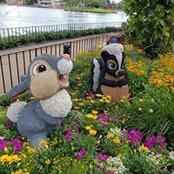 Jodi Hamilton's photo