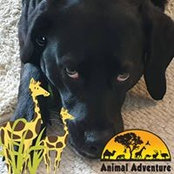 Sue Coppock-Grun's photo