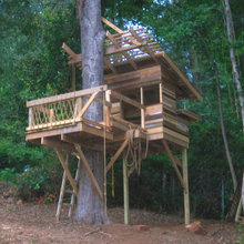 tree houses