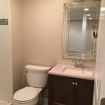 Customer Referral: basement renovation (in progress)